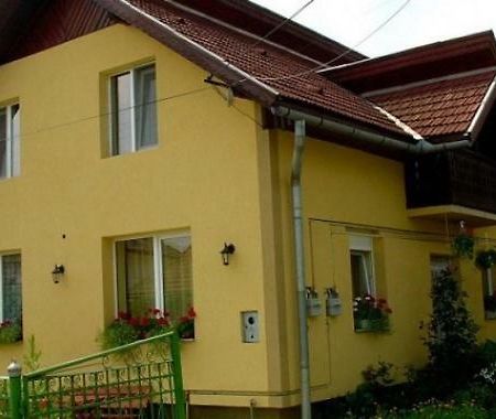 Pensiunea Bio Coltau Екстер'єр фото